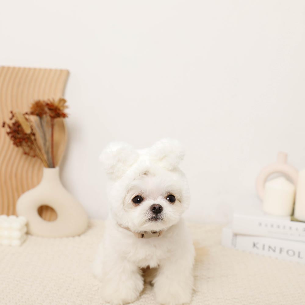 Hood fur harness with rabbit ears