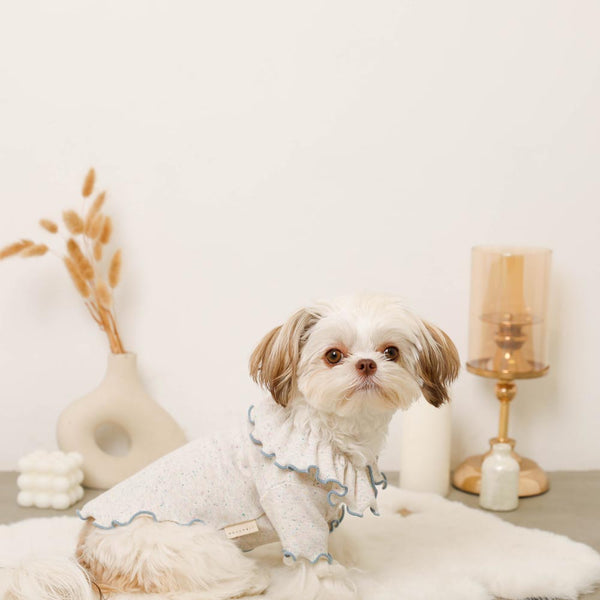 フリルカラーネップメロートップス