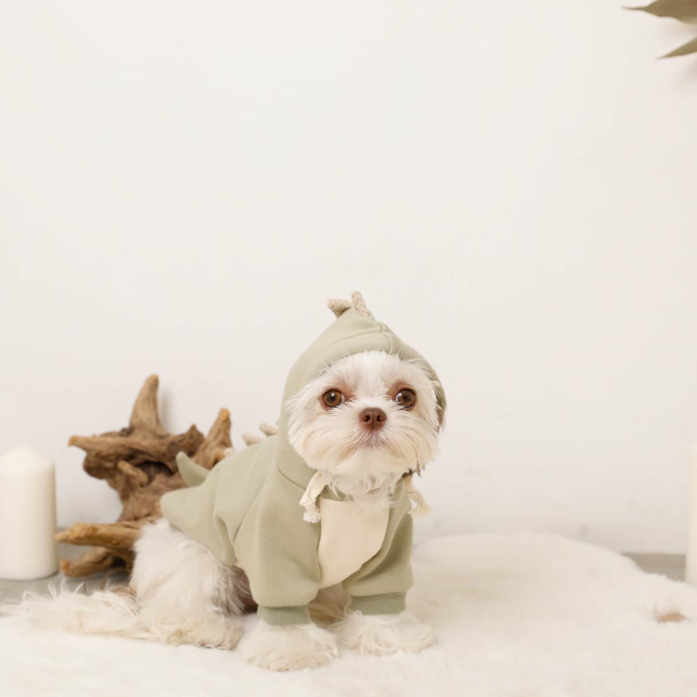 Dinosaur food hoodie