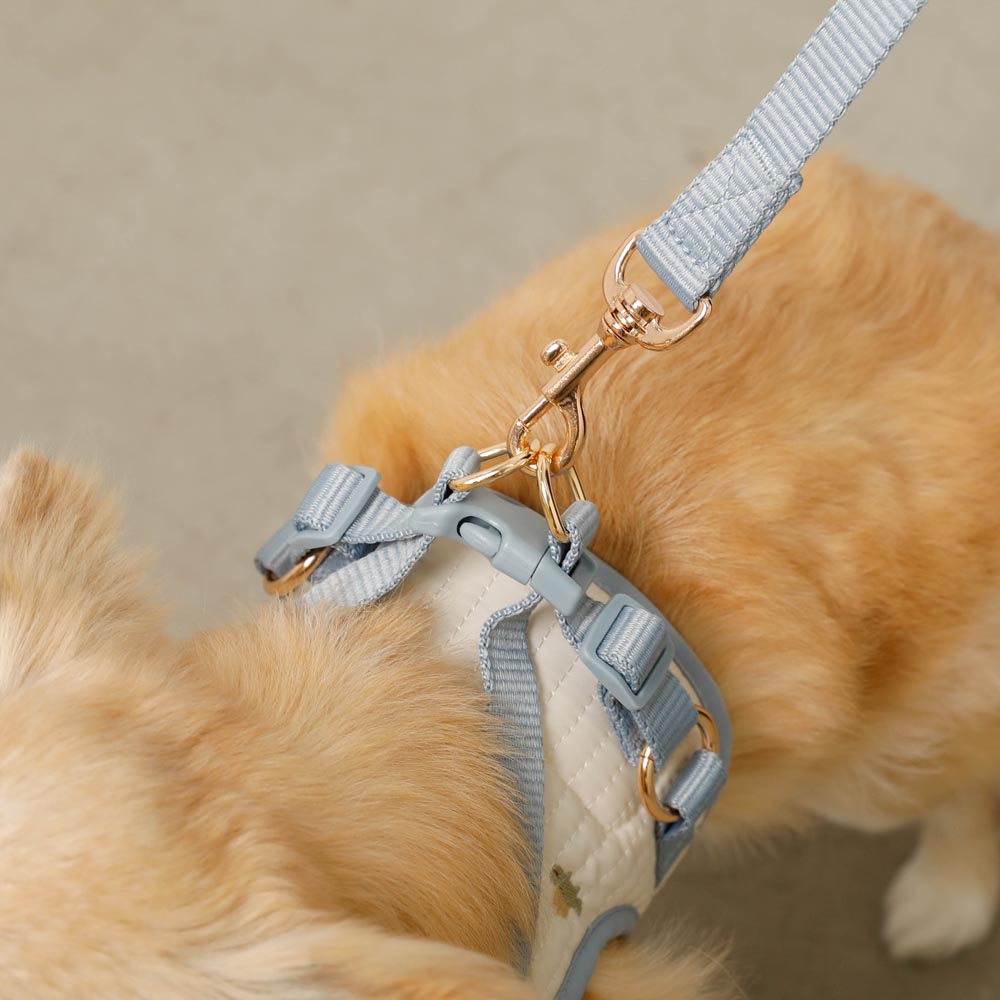 Dinosaur pattern embroidery harness + lead set [Name embroidery available]