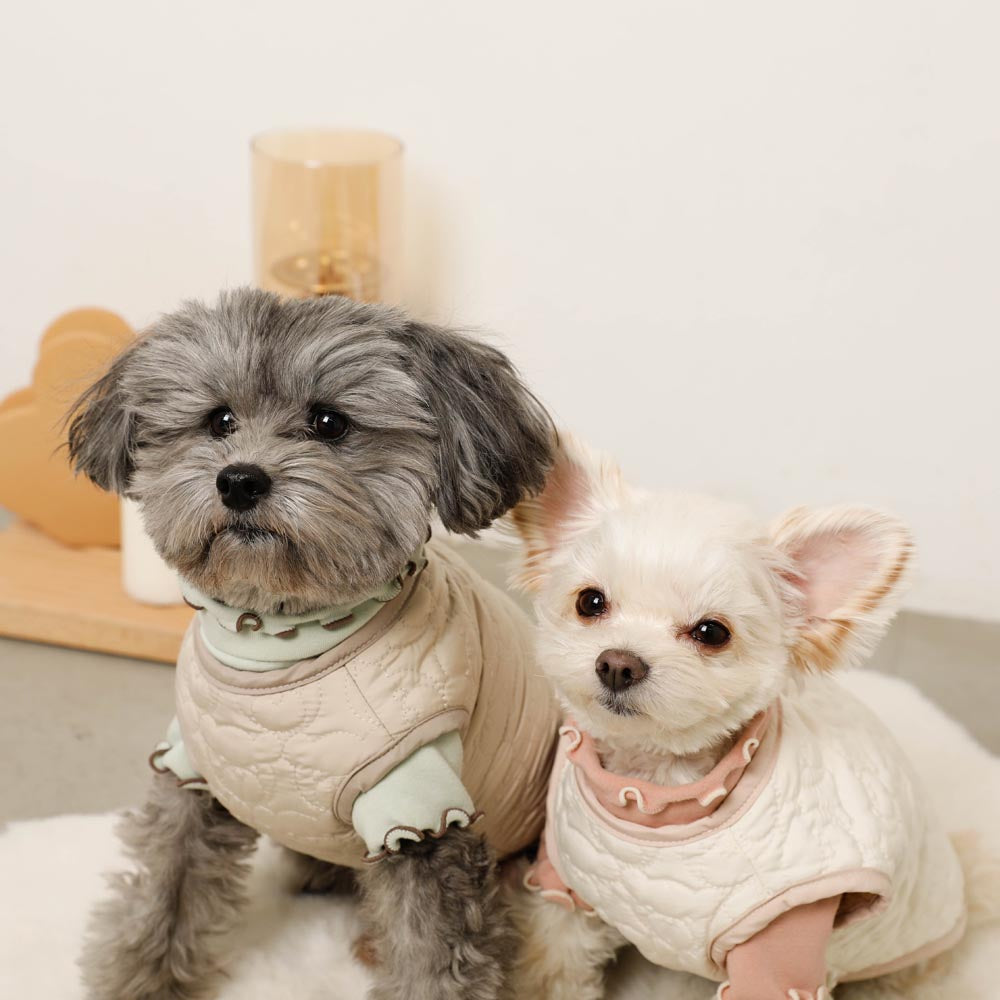 Reversible boa bear quilted jacket