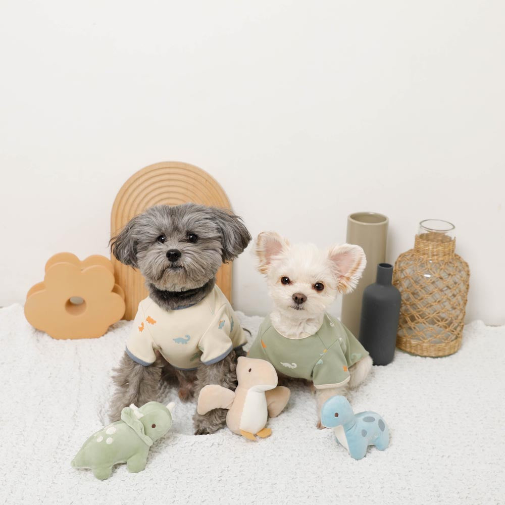 Dinosaur friends toy SET