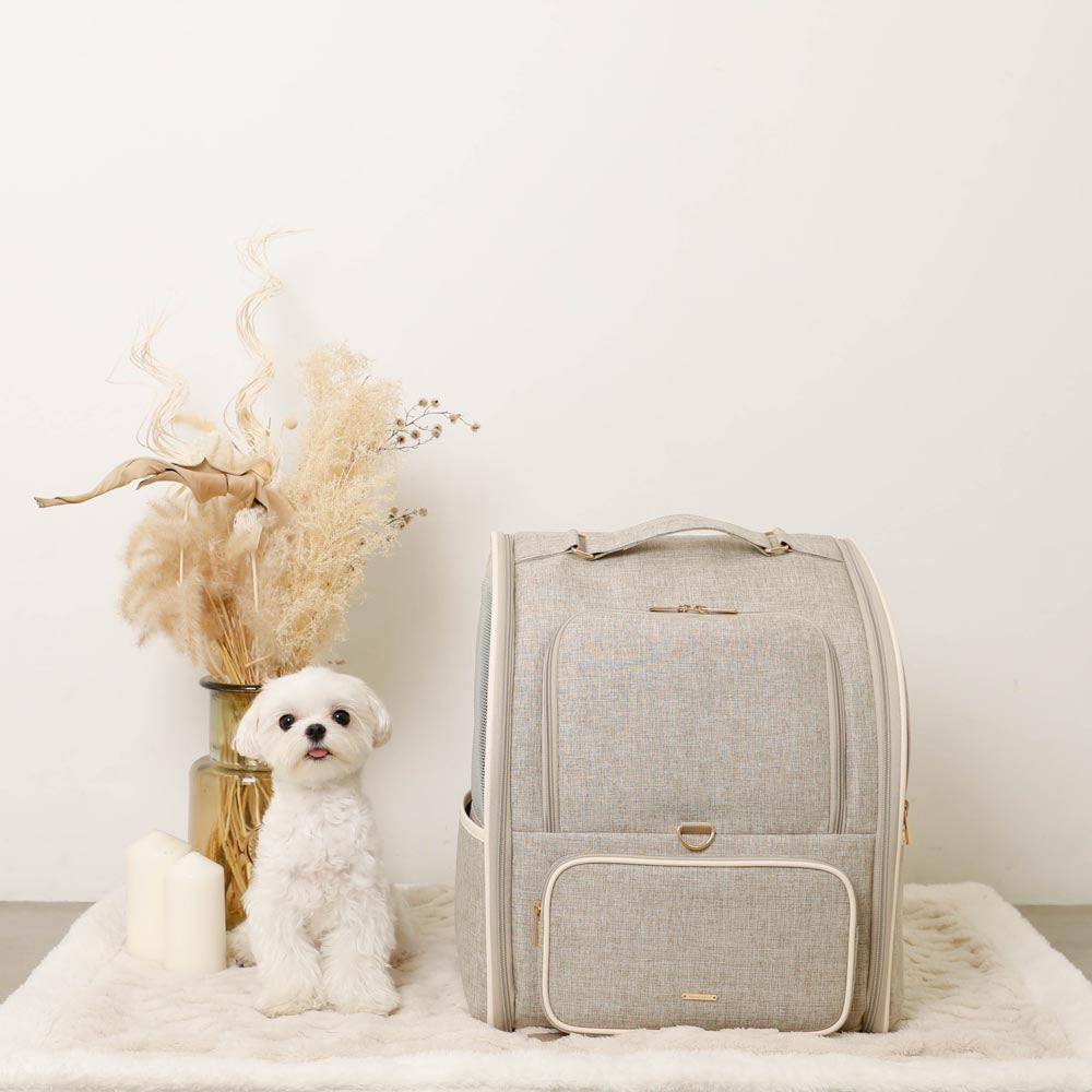 拡張パイピングリュックキャリー