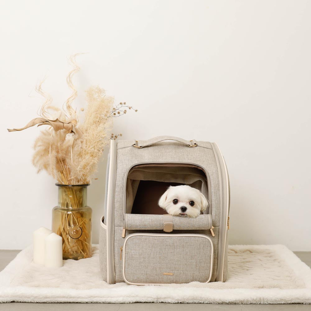 拡張パイピングリュックキャリー