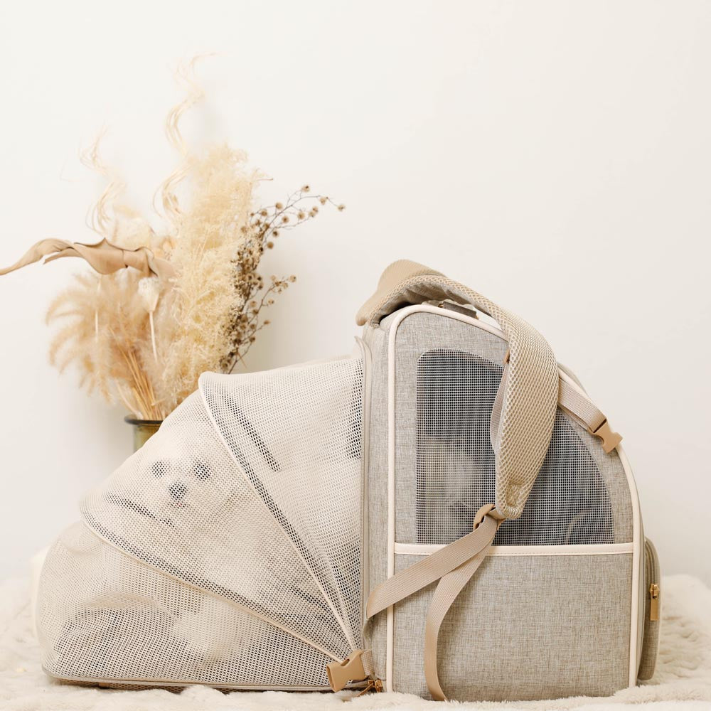 拡張パイピングリュックキャリー