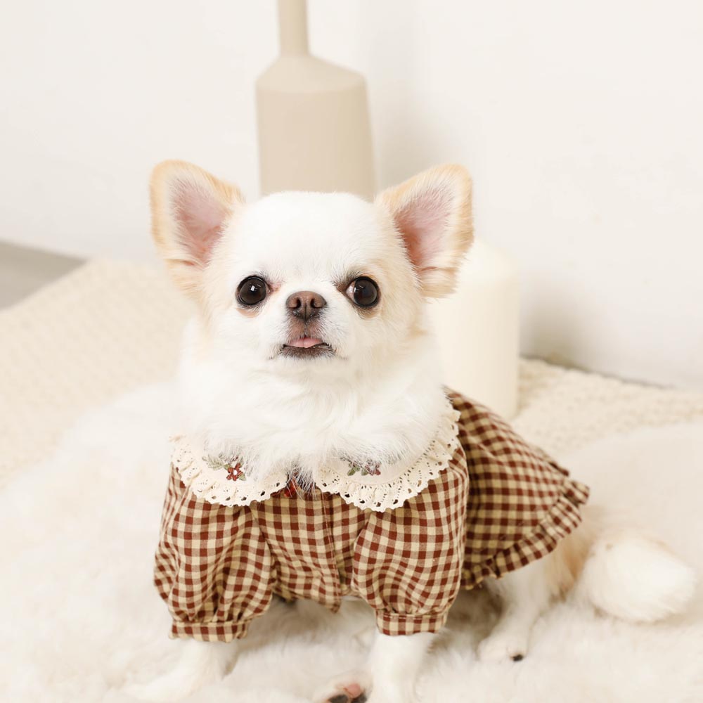 Gingham check dress with flower collar embroidery