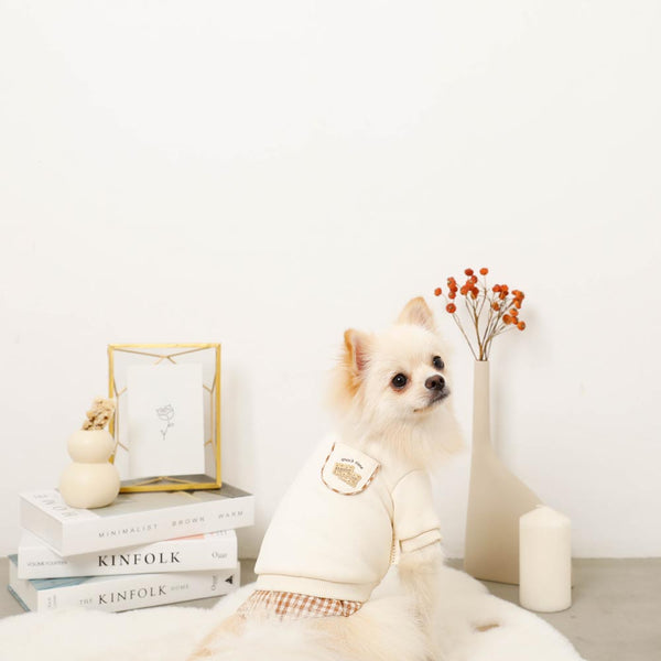 シャツドッキングビスケット刺繍トップス