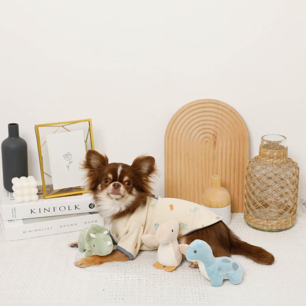 Dinosaur friends toy SET