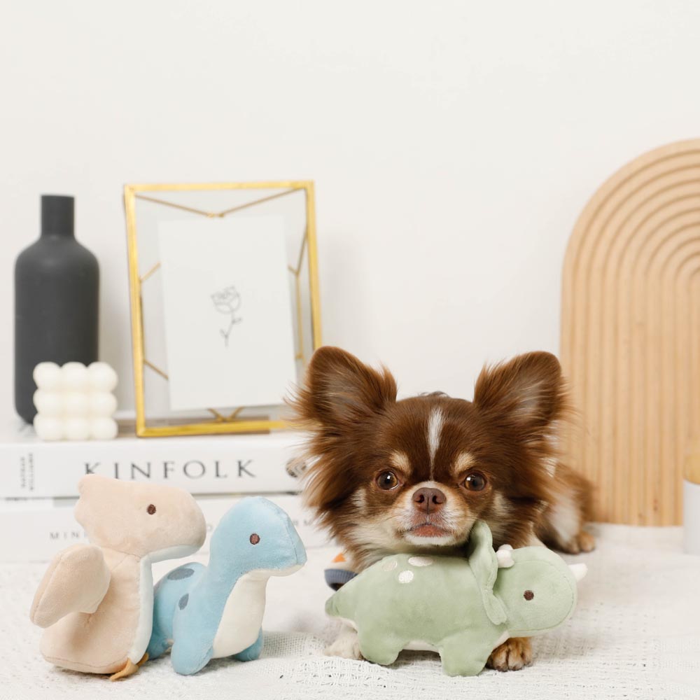 Dinosaur friends toy SET