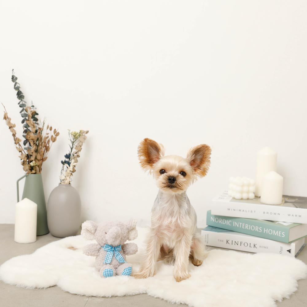 Elephant gingham check ribbon plush toy