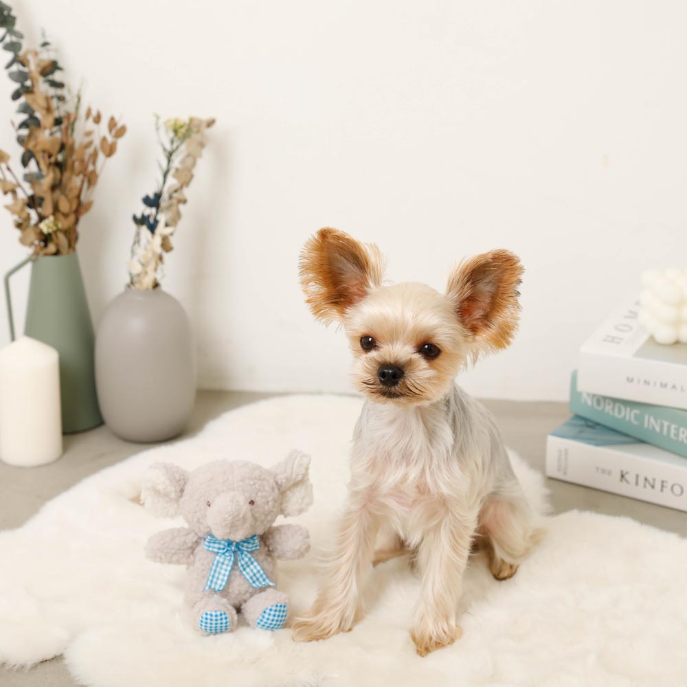 Elephant gingham check ribbon plush toy