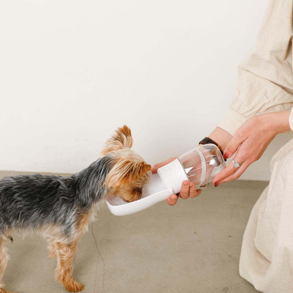 compact mini water bottle