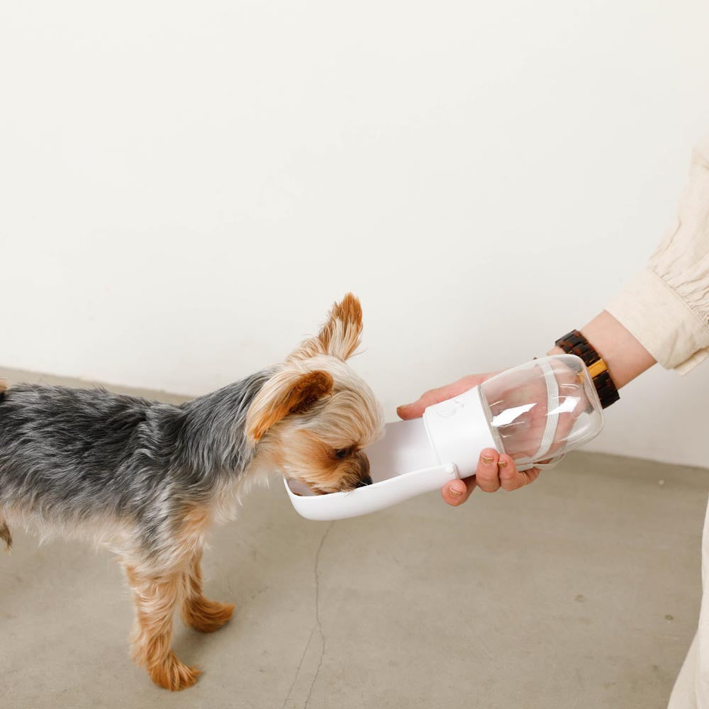 compact mini water bottle