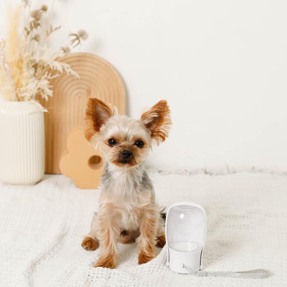 compact mini water bottle