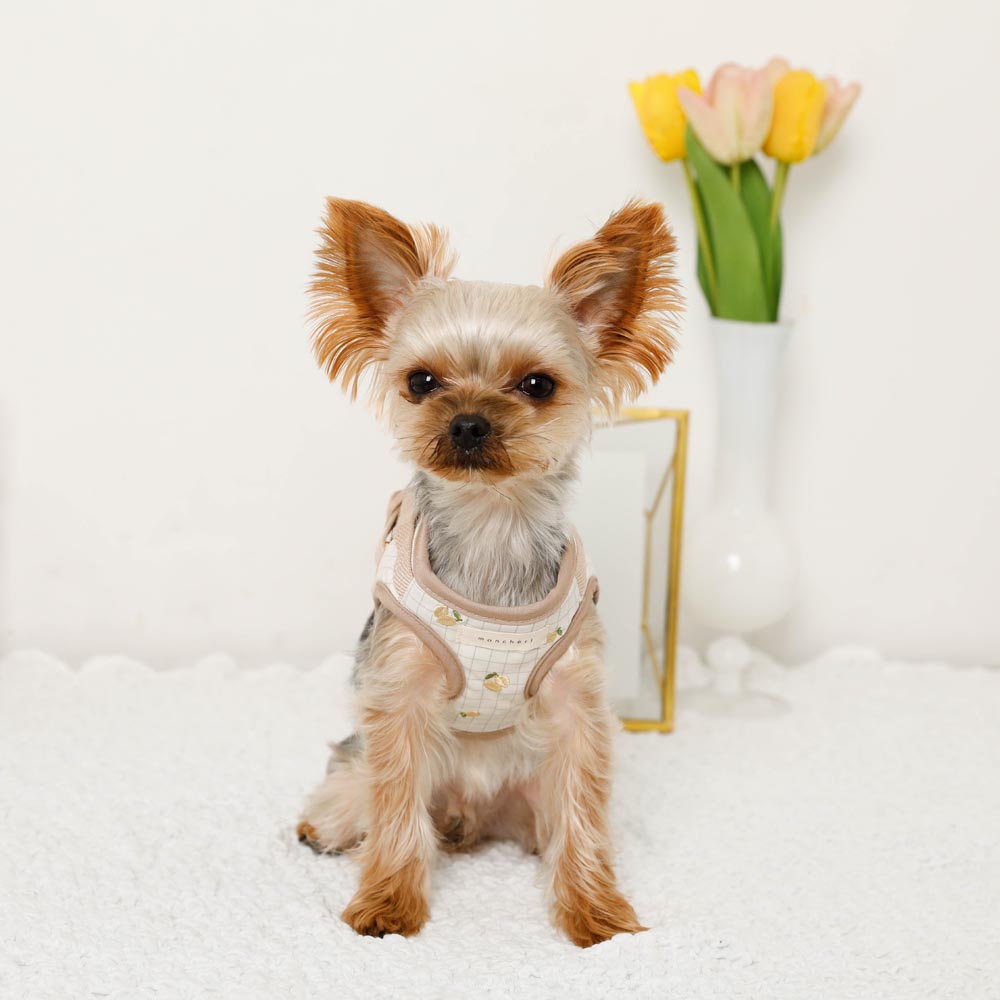 Lemon pattern embroidery harness + lead set [Name embroidery available]