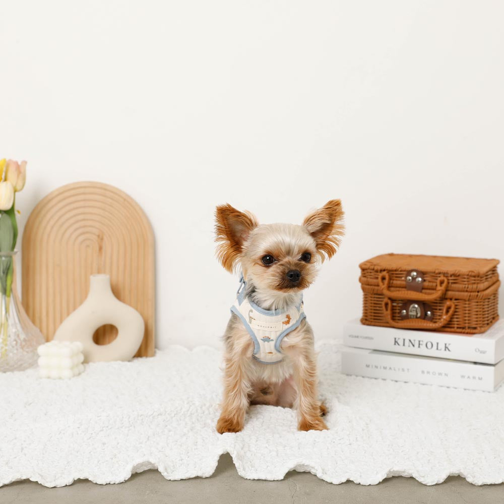 Dinosaur pattern embroidery harness + lead set [Name embroidery available]