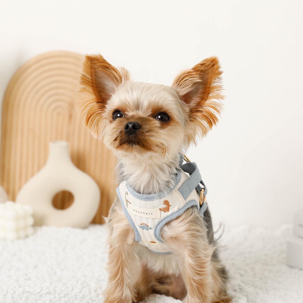 Dinosaur pattern embroidery harness + lead set [Name embroidery available]