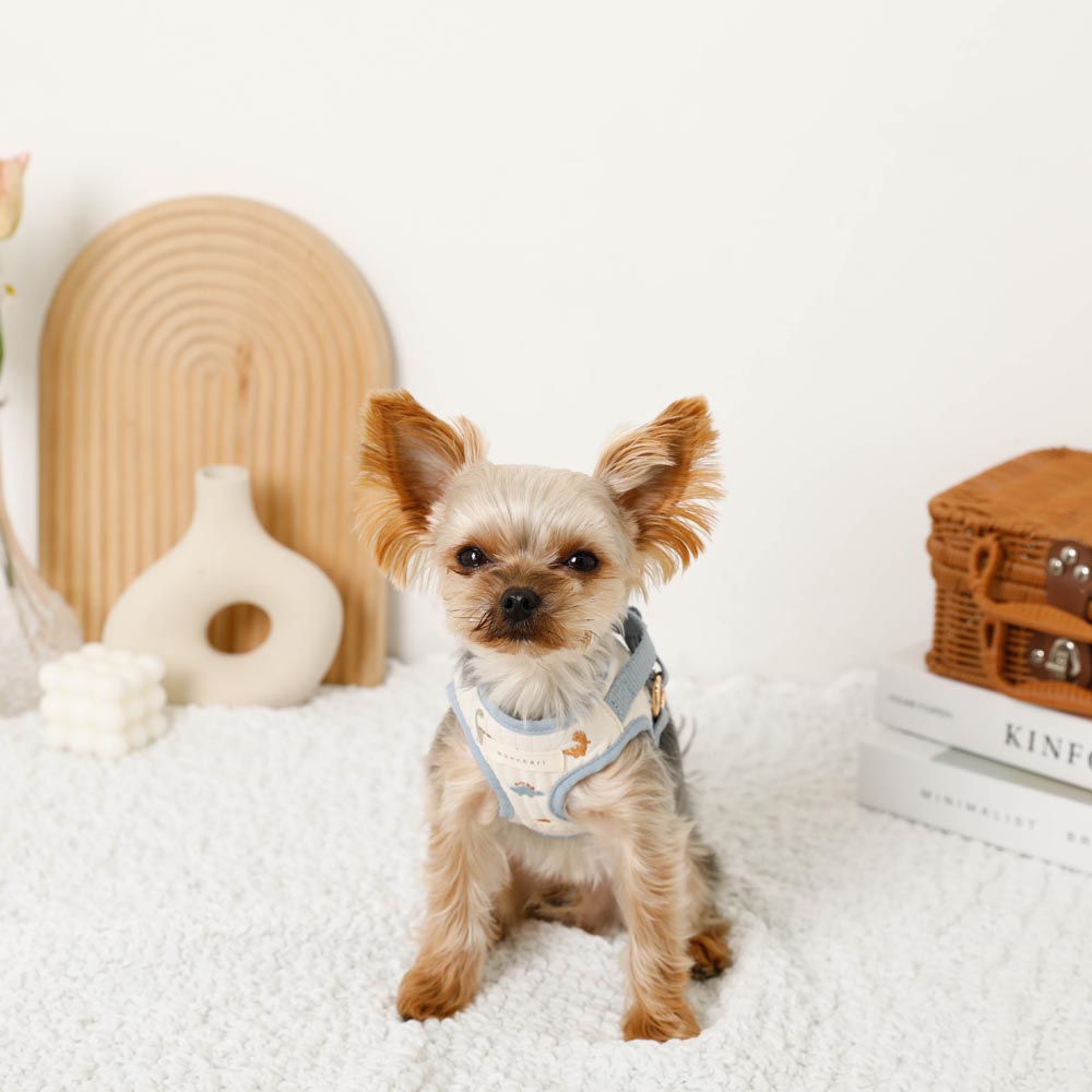 Dinosaur pattern embroidery harness + lead set [Name embroidery available]