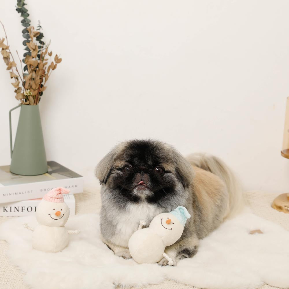 Dental Rope Mini Snowman Plush Set