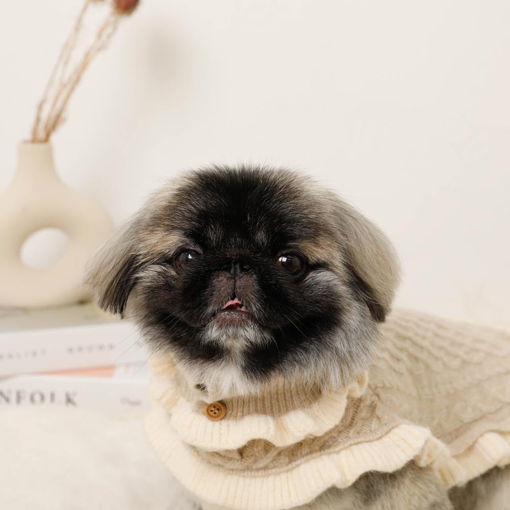 Bicolor frilled cable knit poncho