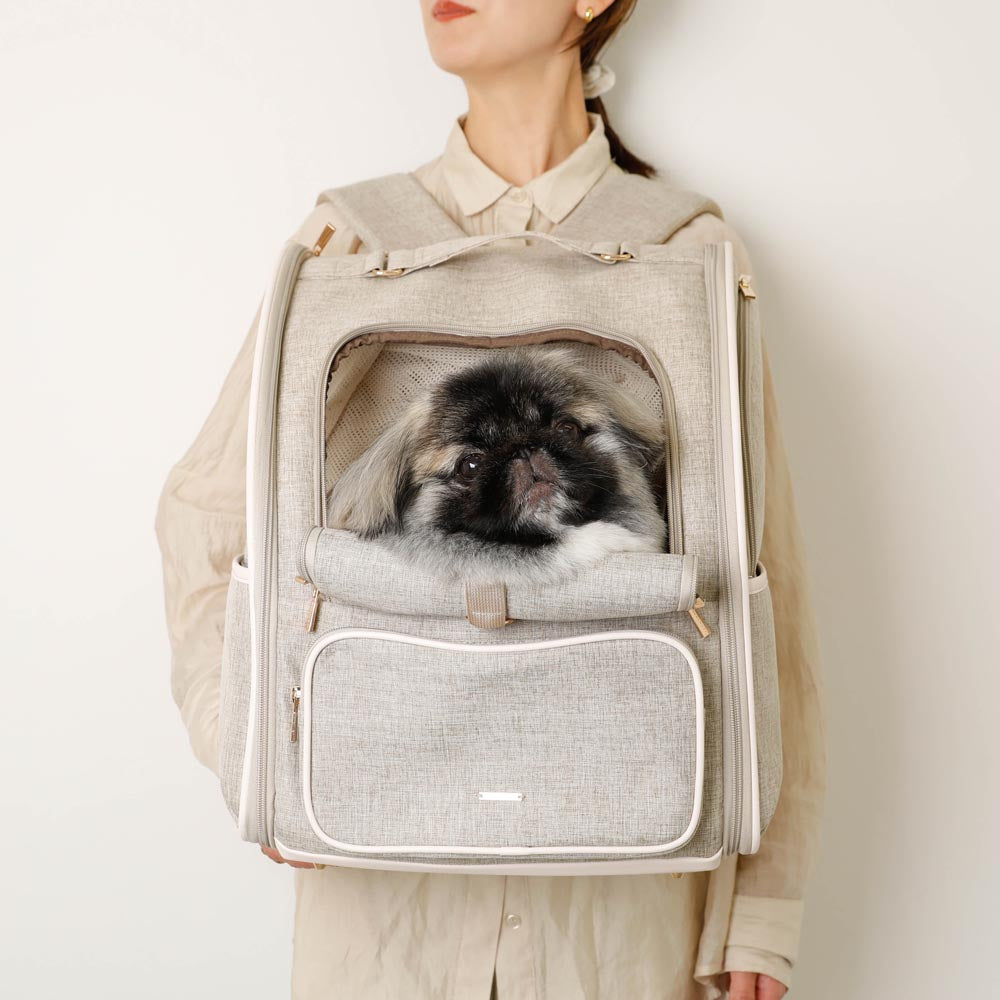 拡張パイピングリュックキャリー