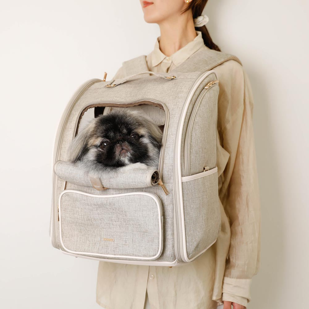 拡張パイピングリュックキャリー