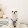 Corduroy boa harness + lead set with rocking horse embroidery [Compatible with name embroidery]