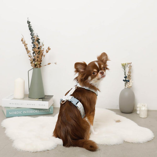 ギンガムチェックいちごハーネス