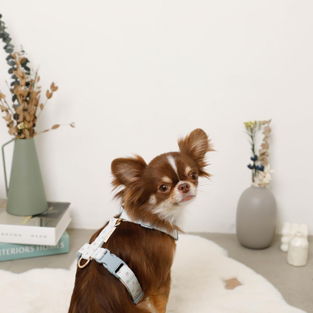 gingham strawberry harness