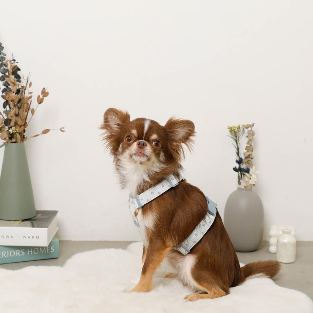 gingham strawberry harness