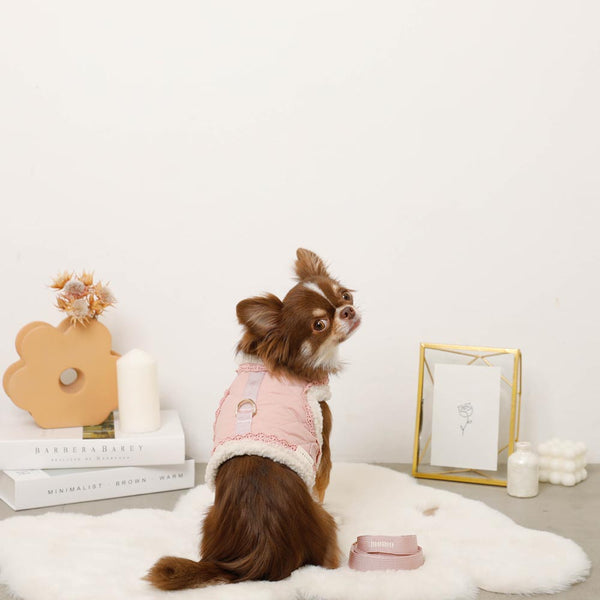 首輪・リード・ハーネス | ドッグウェア・犬服通販 - monchéri