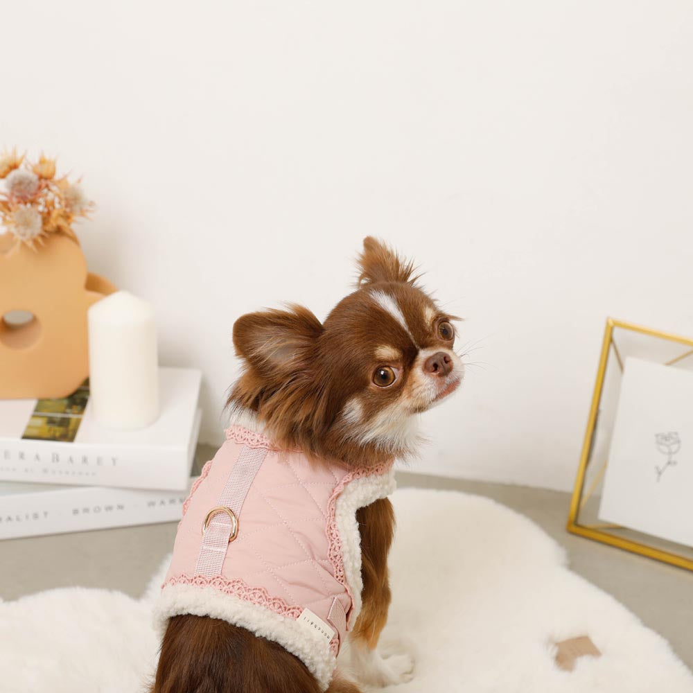 キルティングボアレースハーネス+リードSET【名入れ刺繍対応】