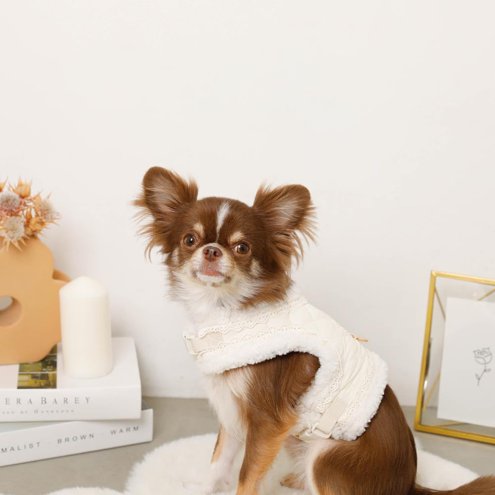 キルティングボアレースハーネス+リードSET【名入れ刺繍対応】