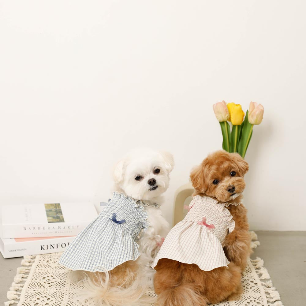 Cool check gathered ribbon dress