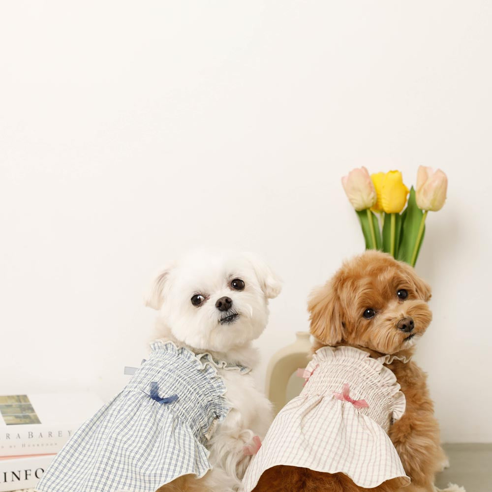 Cool check gathered ribbon dress