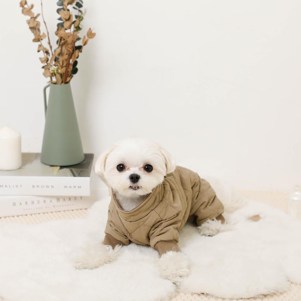 Star pattern quilted romper harness