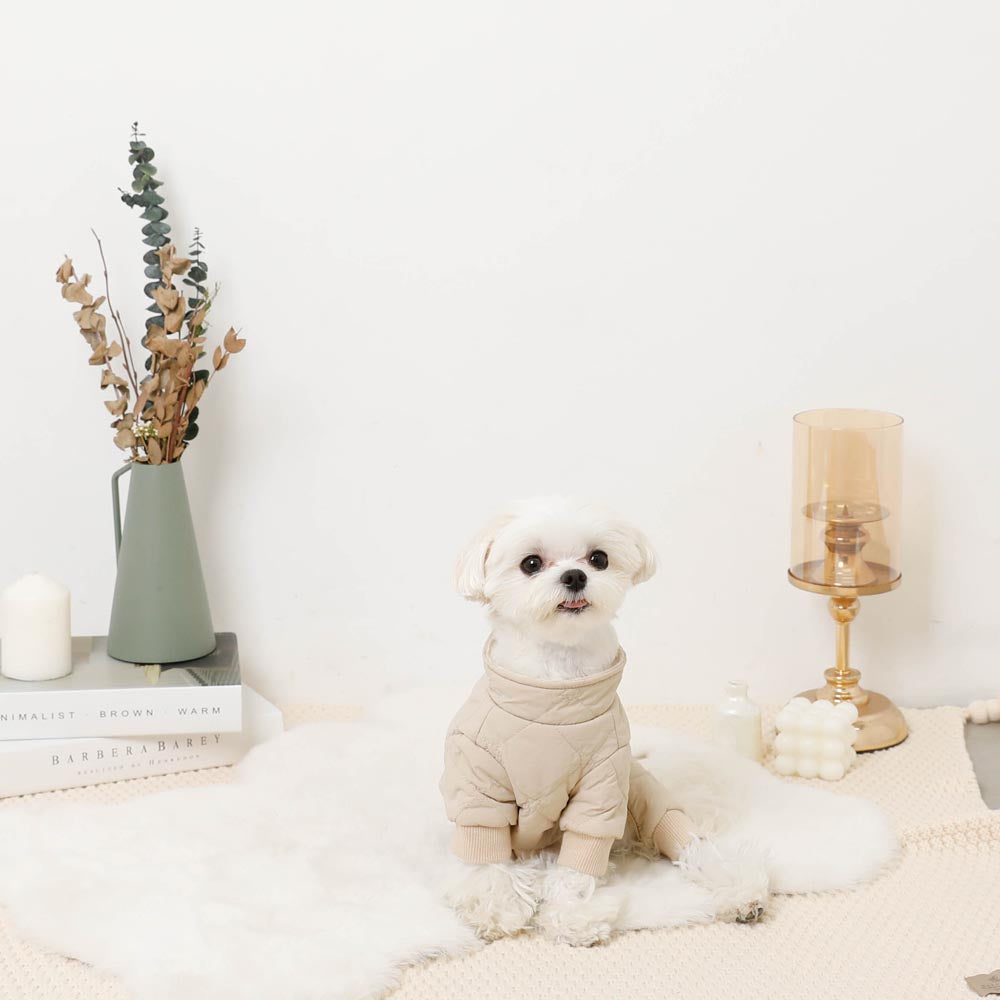 Star pattern quilted romper harness