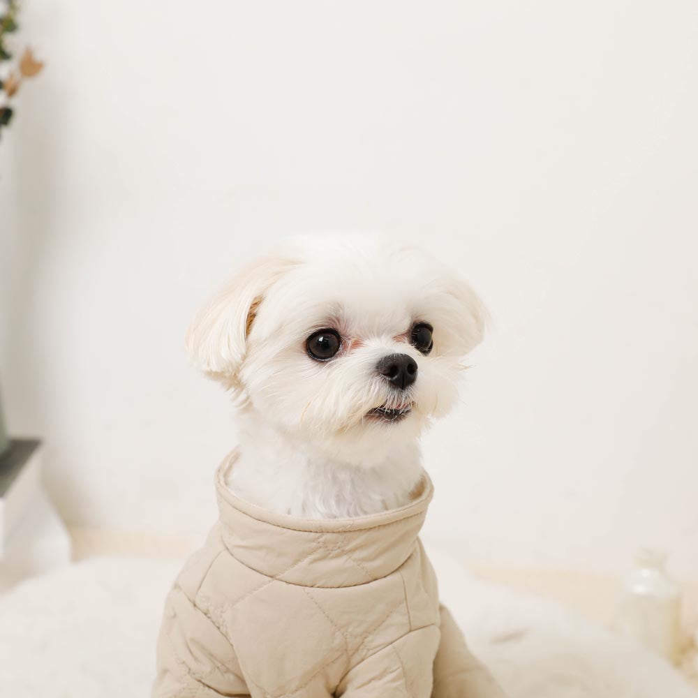 Star pattern quilted romper harness