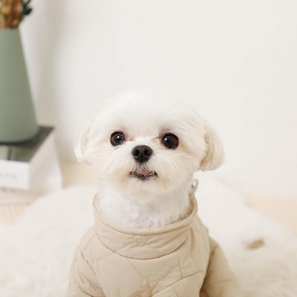 Star pattern quilted romper harness