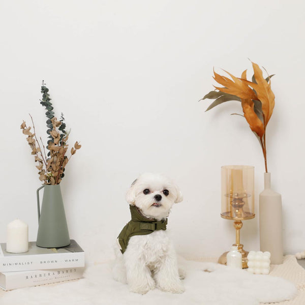 モンクレール　首輪とリードセット モンクレール 首輪とリードセット MONCLER(モンクレール) 首輪