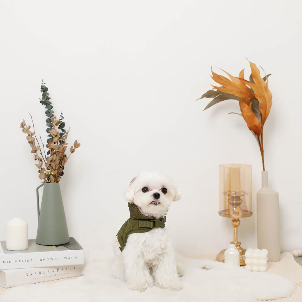 フード付きキルティングダウンライクハーネス+リードSET【名入れ刺繍対応】