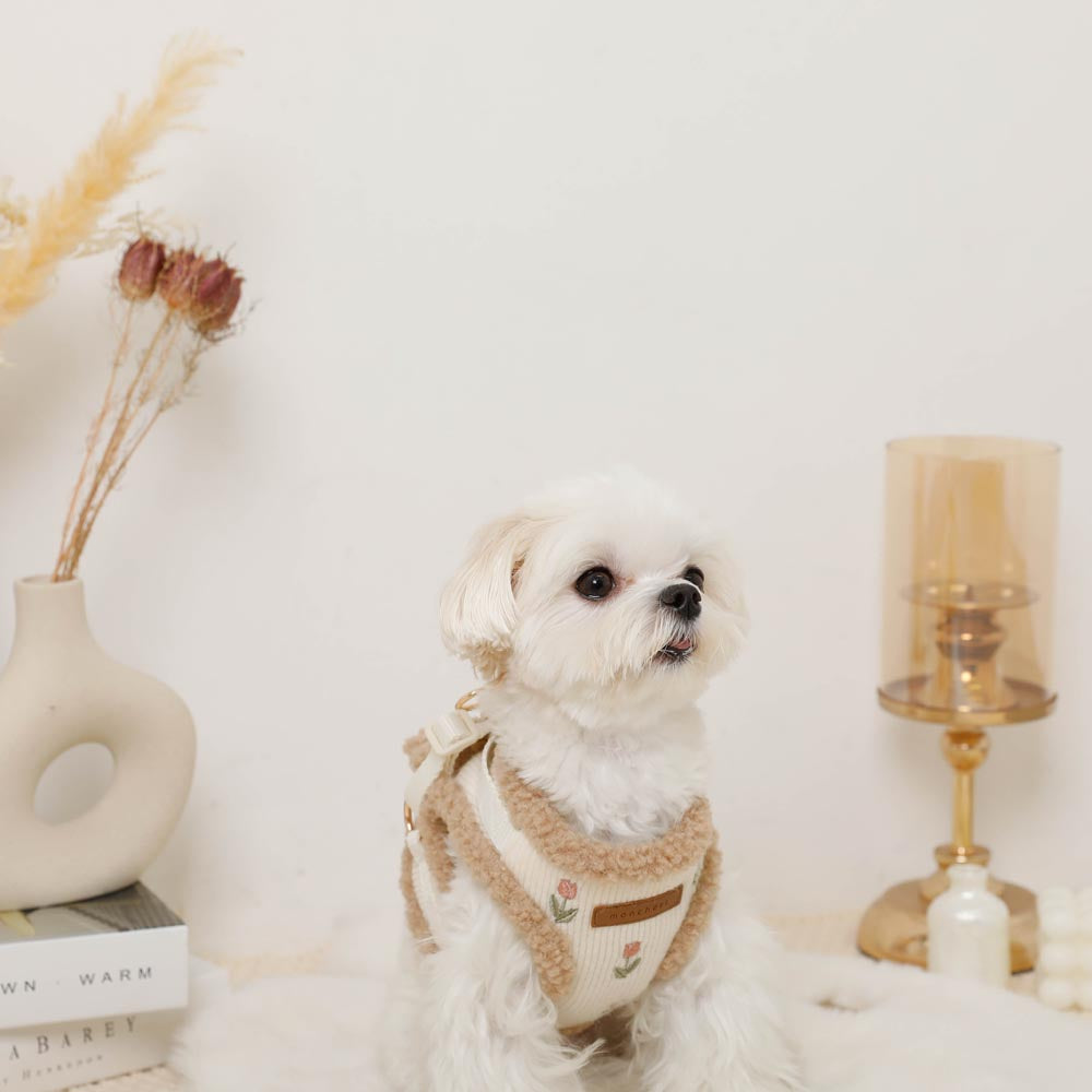 ボアチューリップ刺繍ハーネス+リードSET【名入れ刺繍対応】