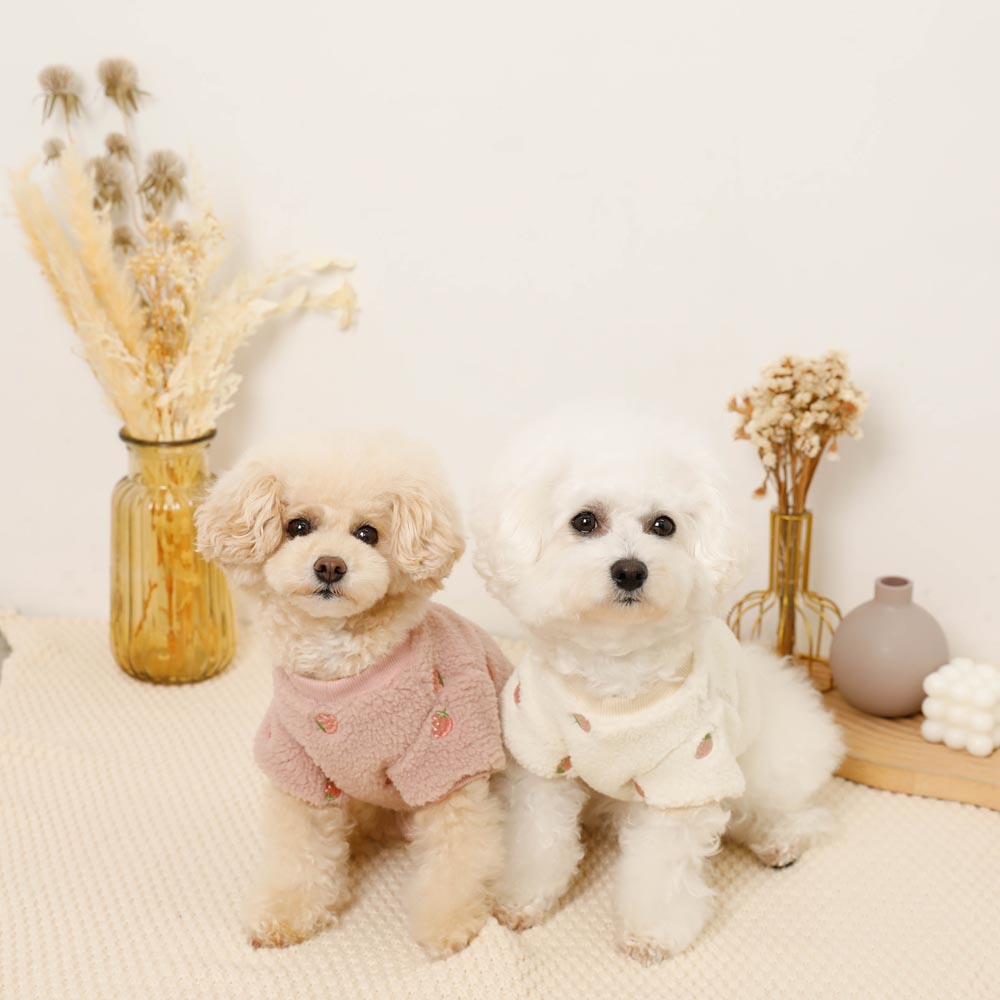 strawberry embroidery boa tops