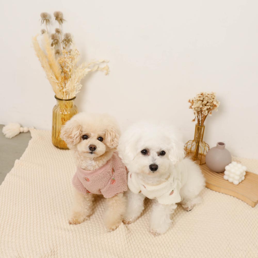 strawberry embroidery boa tops