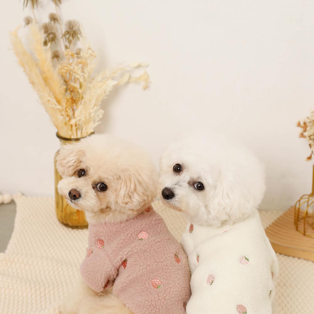 strawberry embroidery boa tops