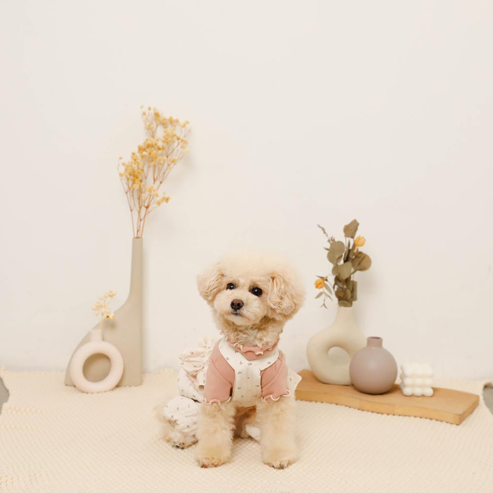 花柄キルティングフリルかぼちゃパンツ