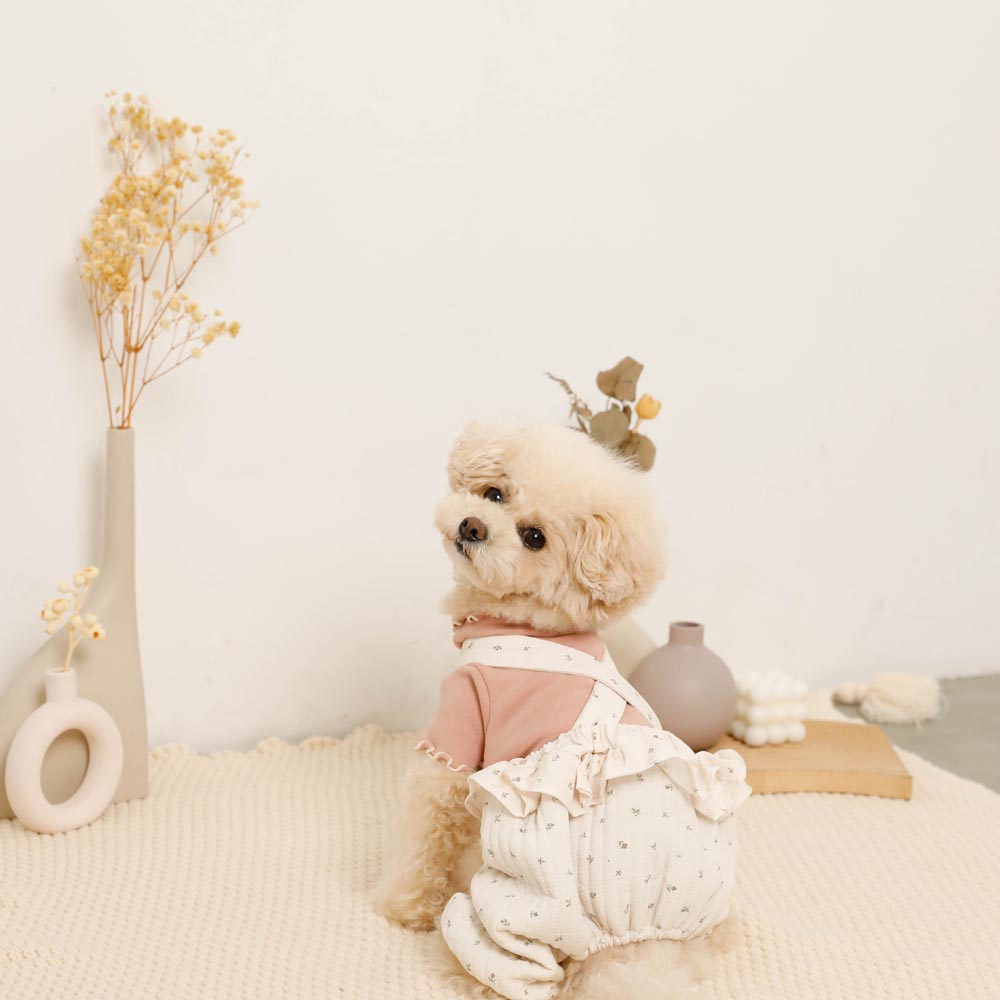 ボトムス | ドッグウェア・犬服通販 - monchéri(モンシェリ)