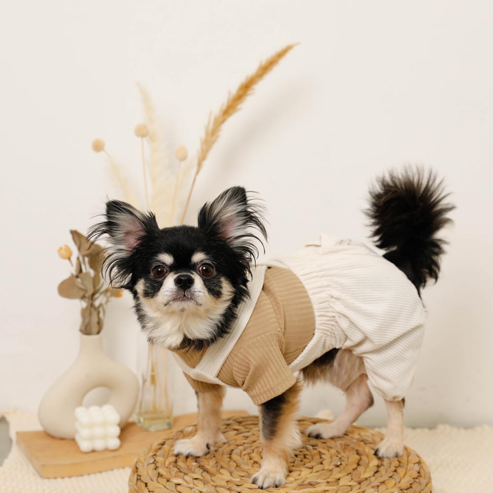 Simple high neck rib tops