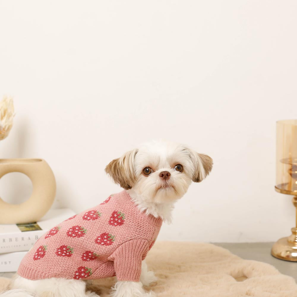 strawberry pattern knit tops