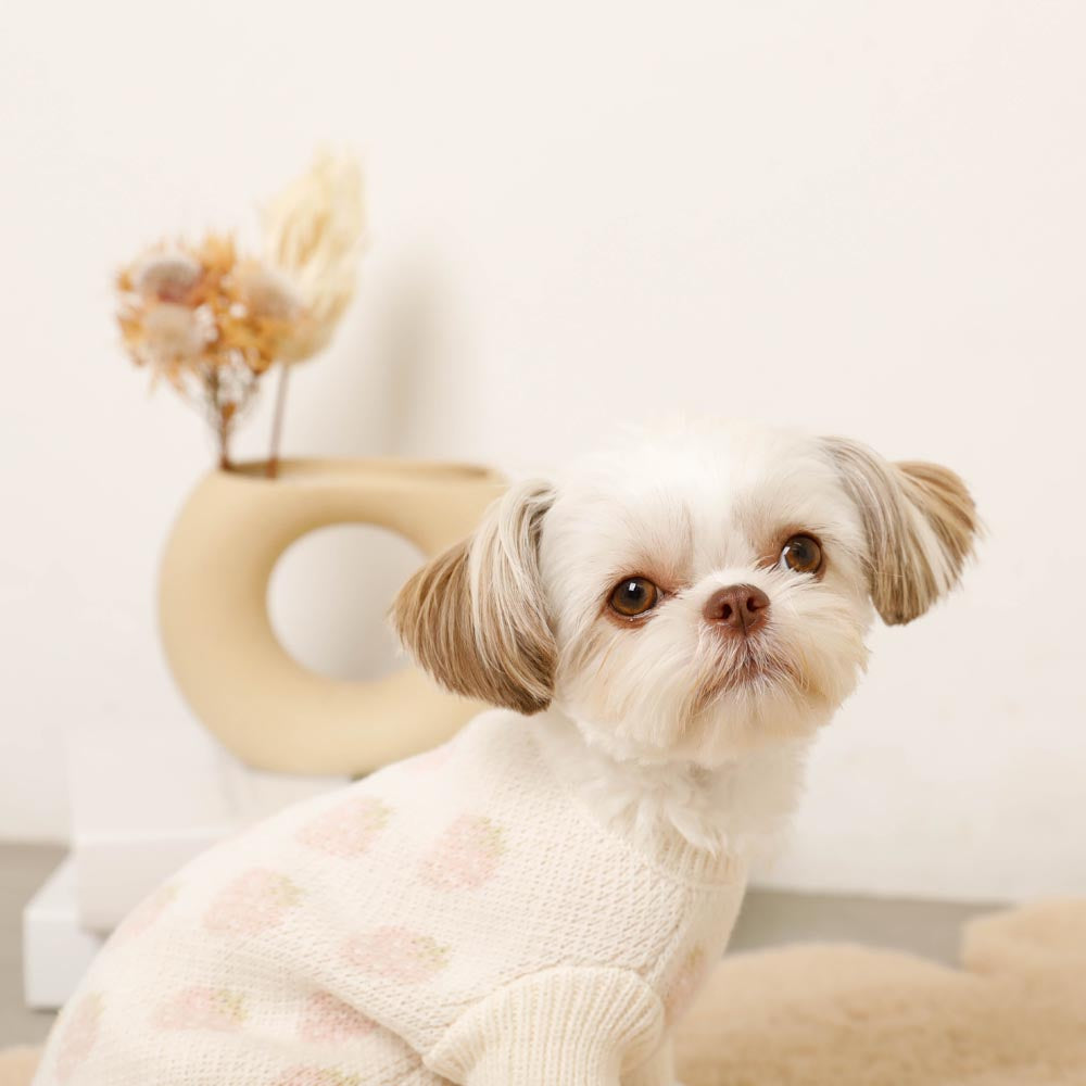 strawberry pattern knit tops